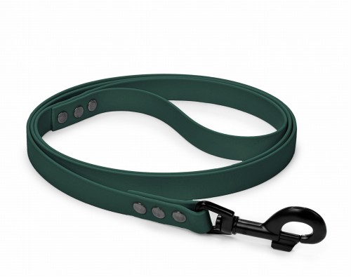 Smycz dla psa BioThane 19 mm zielona.jpg