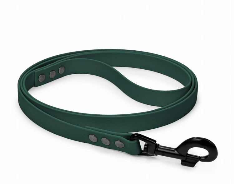Smycz dla psa BioThane 19 mm zielona.jpg